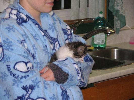 New Brunswick 2004 047.jpg